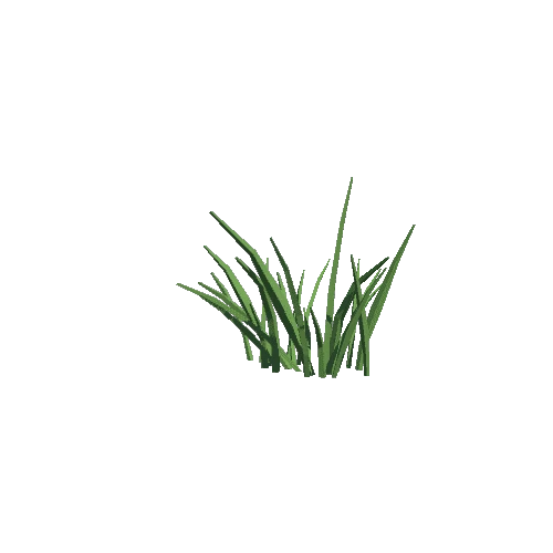 Grass 05